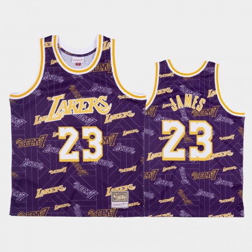 LeBron James Los Angeles Lakers #23 Purple Tear Up Pack Hardwood Classics Jersey